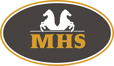Mini Horse Shop
